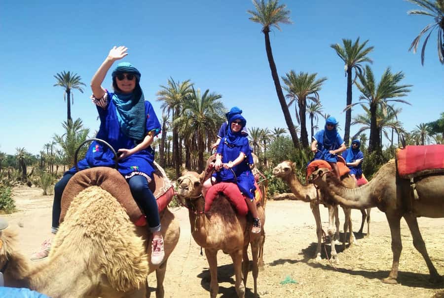 Marrakech Palmeraie: Camel Ride & Quad Bike Experience - Camel riding beneath the Palmeraie palms