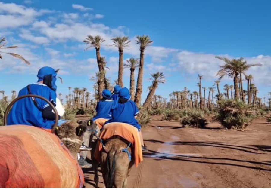 Marrakech: Palmeraie Camel Ride & Traditional Moroccan Spa - Mint tea under a nomadic tent