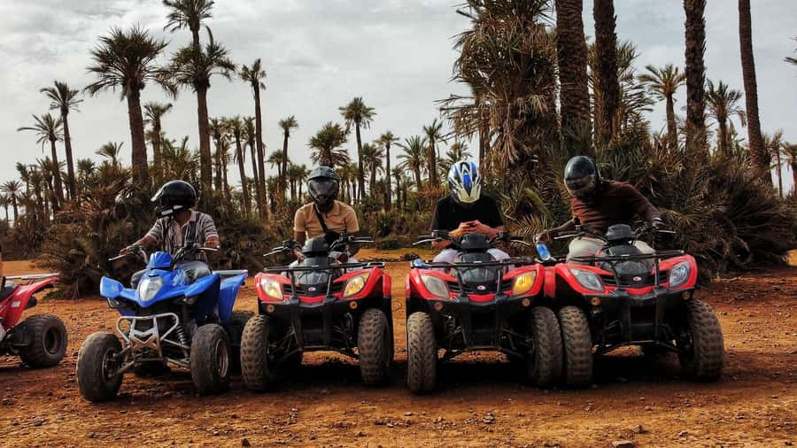 Marrakech: Palmeraie Guided Quad Biking Tour with Tea - Who should book this Palmeraie ride?