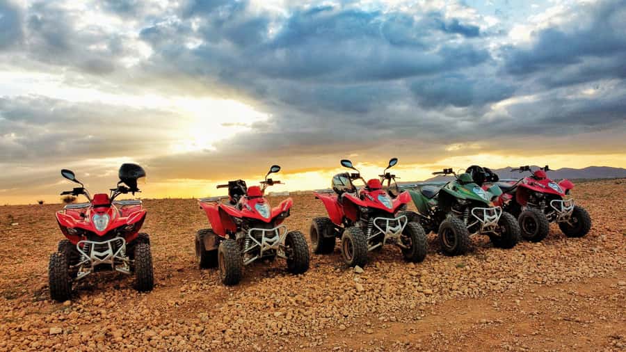 Marrakech: Palmeraie Guided Quad Biking Tour with Tea - Pickup from the Medina and the ride out