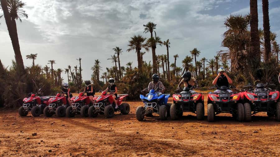 Marrakech: Palmeraie Guided Quad Biking Tour with Tea - Tea, bread, honey, and olives