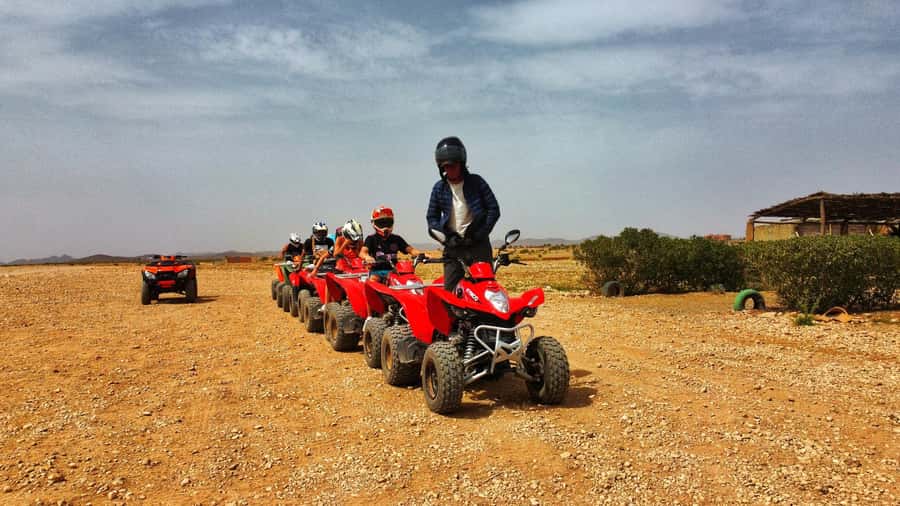 Marrakech: Palmeraie Guided Quad Biking Tour with Tea - What the scenery is really like