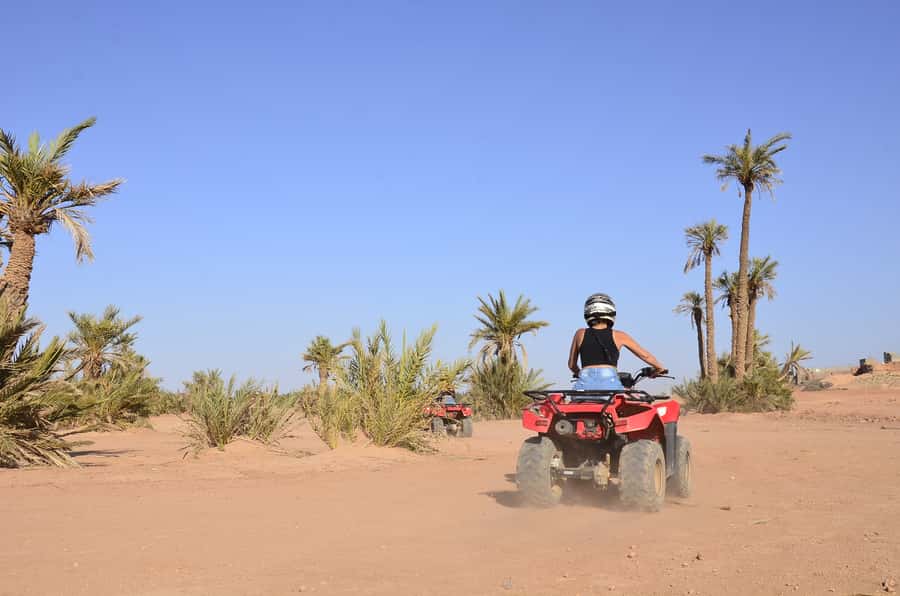 Marrakech: Palmeraie Guided Quad Tour with Tea Break - Guides who make the difference