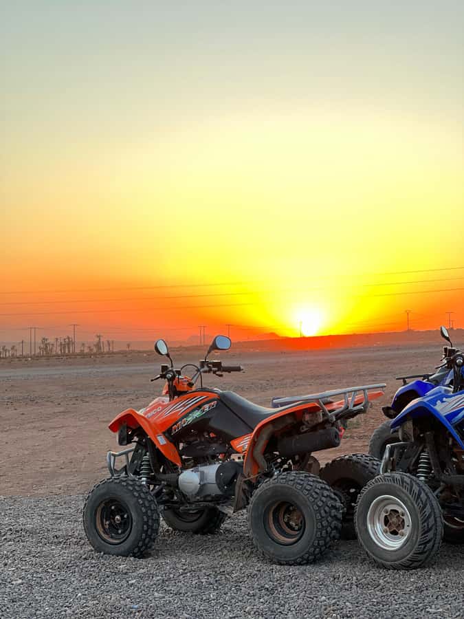 Marrakech: Palmeraie Private Quad Bike Experience - How safe and beginner-friendly is it?