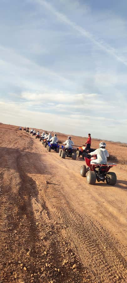 Marrakech: Palmeraie Private Quad Bike Experience - Who should book this Palmeraie ride?