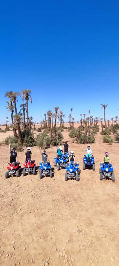 Marrakech: Palmeraie Private Quad Bike Experience - Should you book it?