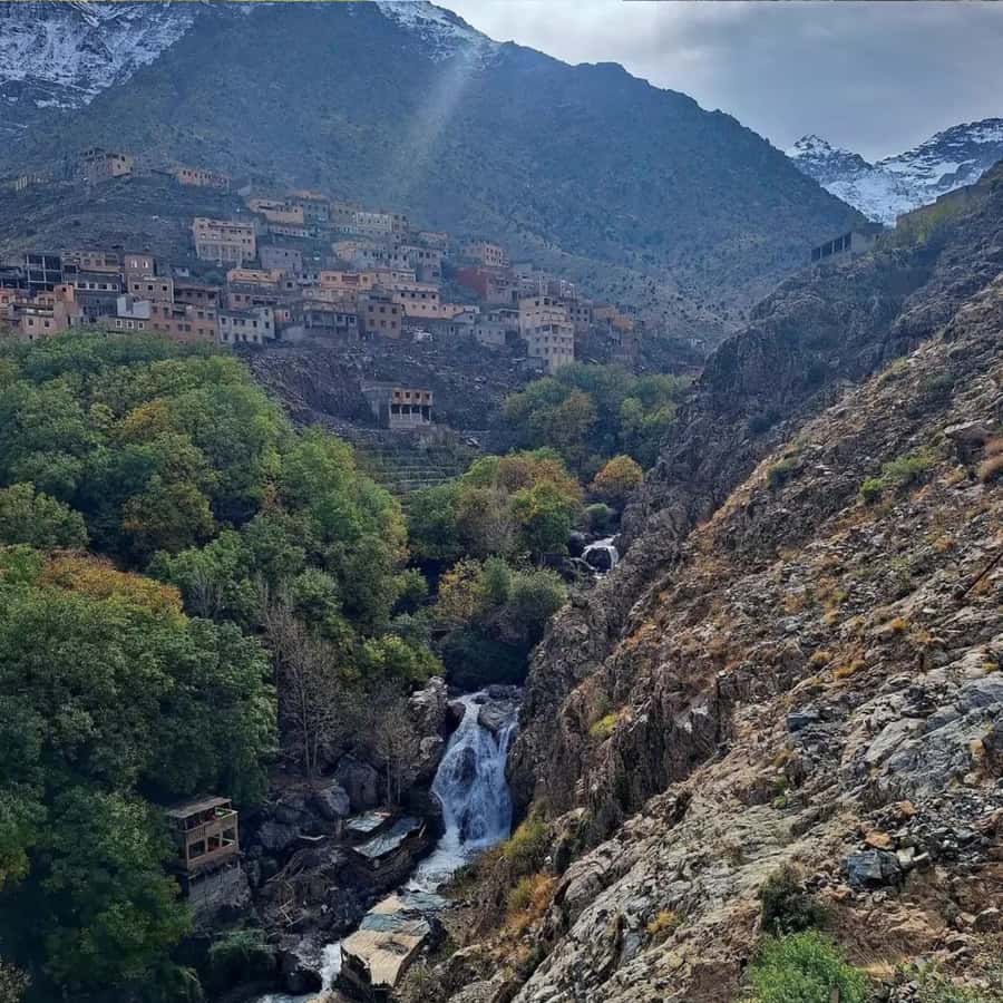 Marrakech: Paragliding, Camel Ride & Berber Villages Trip - Berber breakfast and lunch in a local home