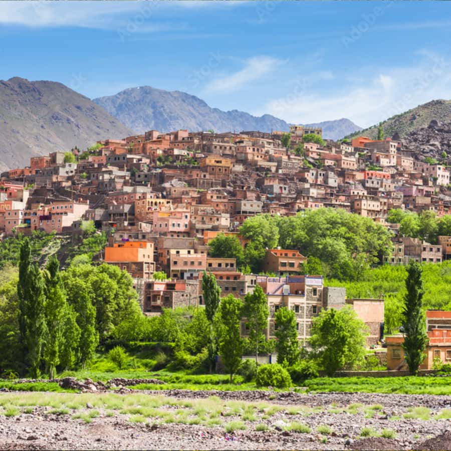 Marrakech: Paragliding, Camel Ride & Berber Villages Trip - The morning ride toward Tahanaout and the argan cooperative