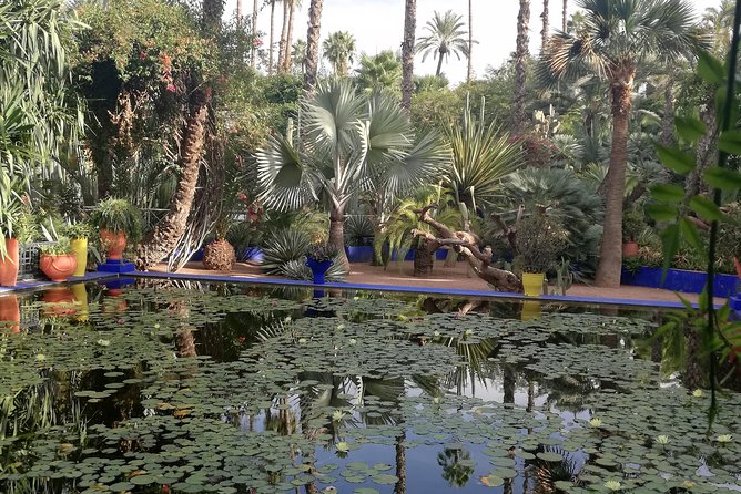 Marrakech: Private Guided Half-Day City Tour - Bahia Palace and its tiled courtyards