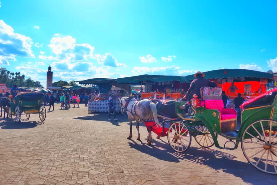 Marrakech: Private Half-Day City Highlights Tour - A smart first look at Marrakech in 210 minutes