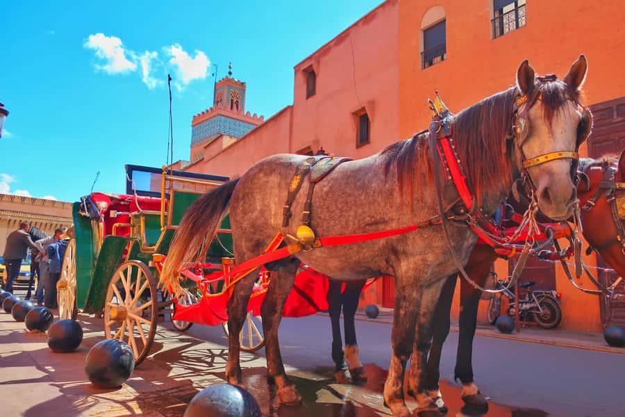 Marrakech: Private Half-Day City Highlights Tour - Bahia Palace and the art of private space