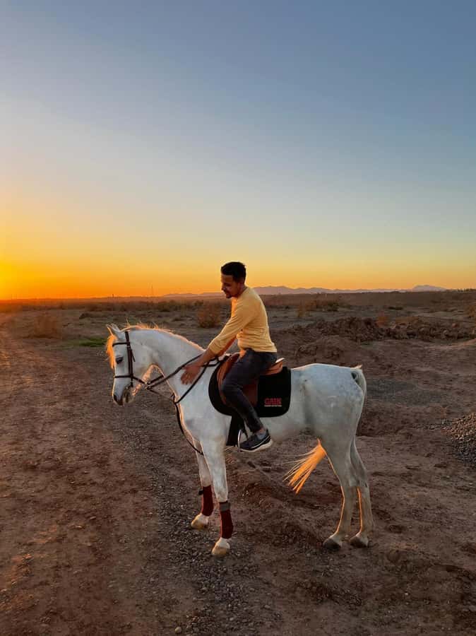 Marrakech: Private Horseback Tour in the Palm Grove with Tea - Leaving the Medina for the palm grove