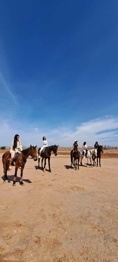 Marrakech: Private Horseback Tour in the Palm Grove with Tea - Practical tips for a smoother ride