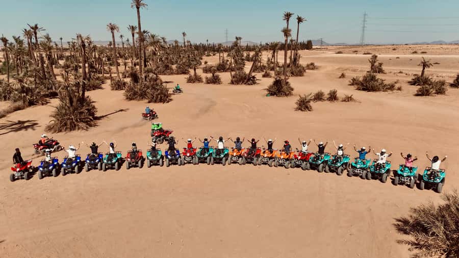 Marrakech: Quad activity in the Palmeraie with Tea break - Riding through palm groves and the Jbilets Desert