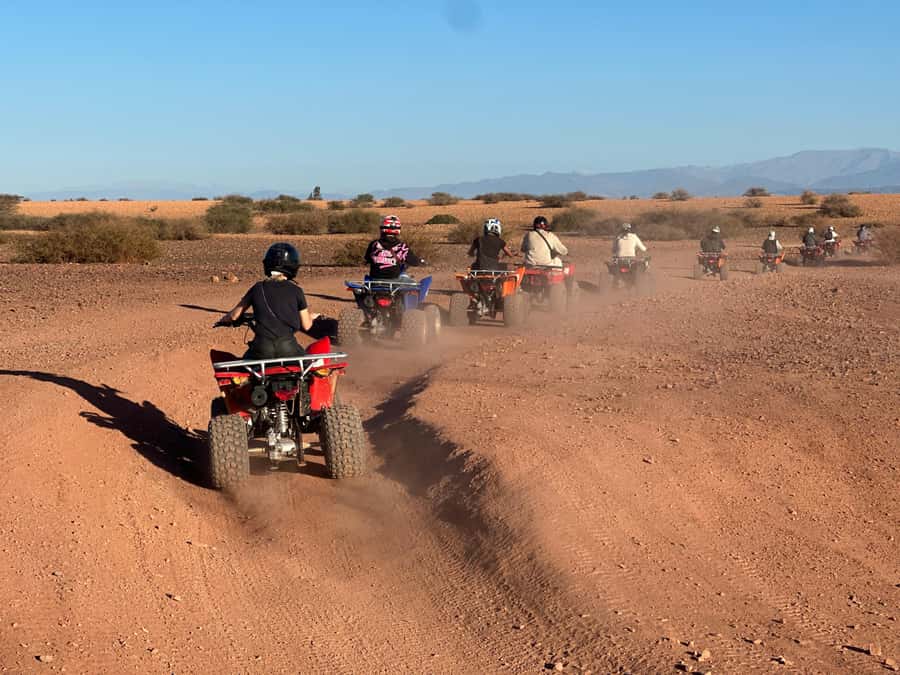 Marrakech: quad Adventure at the Dunes of the palmery desert - Why this Palmery quad ride is worth considering