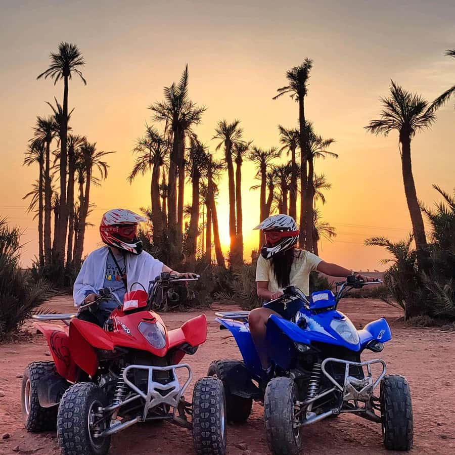 Marrakech: quad bike and Camel Ride in Marrakech - Two wheels into Marrakech’s Palmeraie