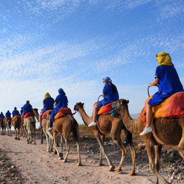 Marrakech: quad bike and Camel Ride in Marrakech - Should you book this Marrakech quad and camel tour?