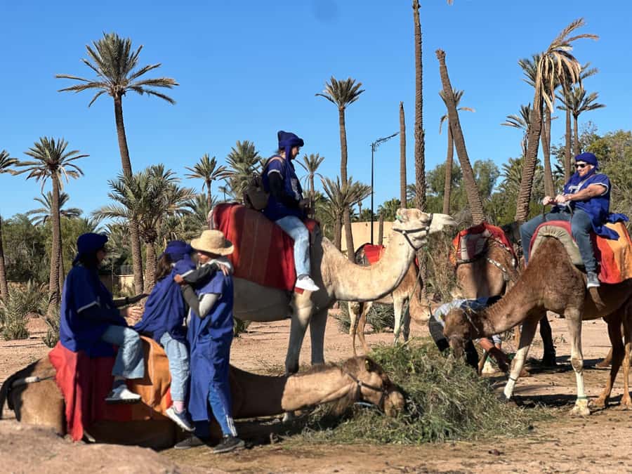 Marrakech: Quad Bike excursion at the sunset with Tea Break - Key points to know before you book