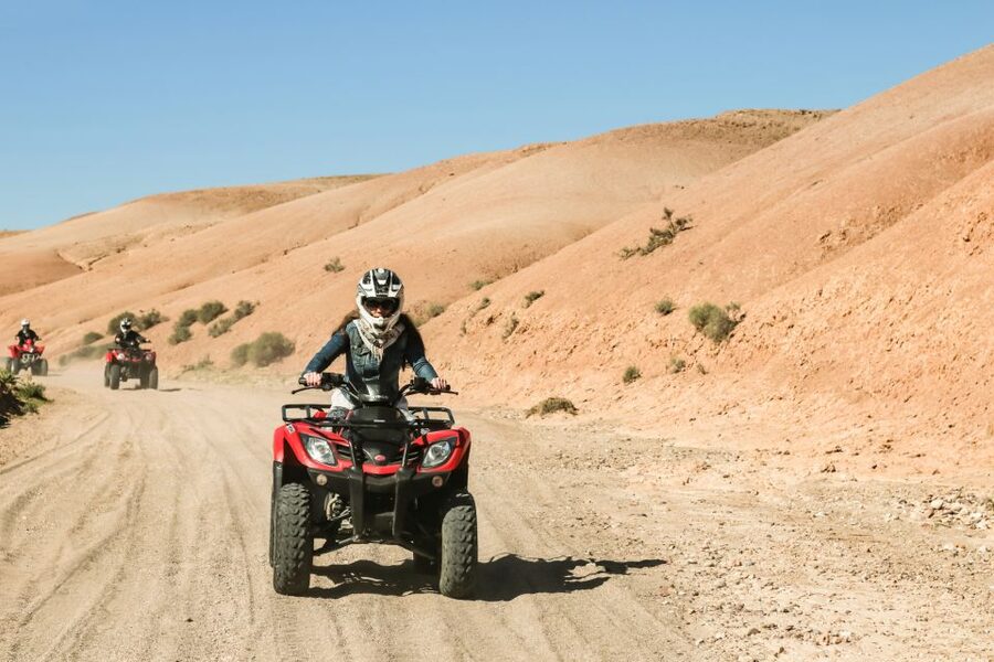 Marrakech Quad Bike Experience: Desert and Palmeraie - Price, group size, and overall value
