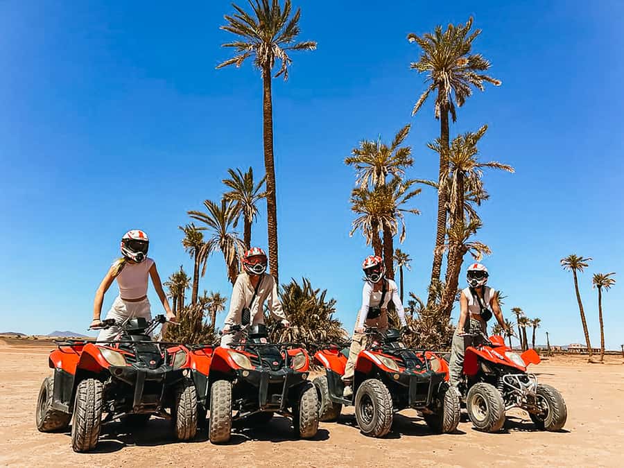 Marrakech: Quad Bike Tour to Palm Oasis and Jbilat Desert - Key points to know before you book