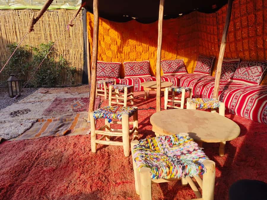 Marrakech: Quad Bike Tour to Palm Oasis and Jbilat Desert - The first ride: palm trees, rocky tracks, and photo stops
