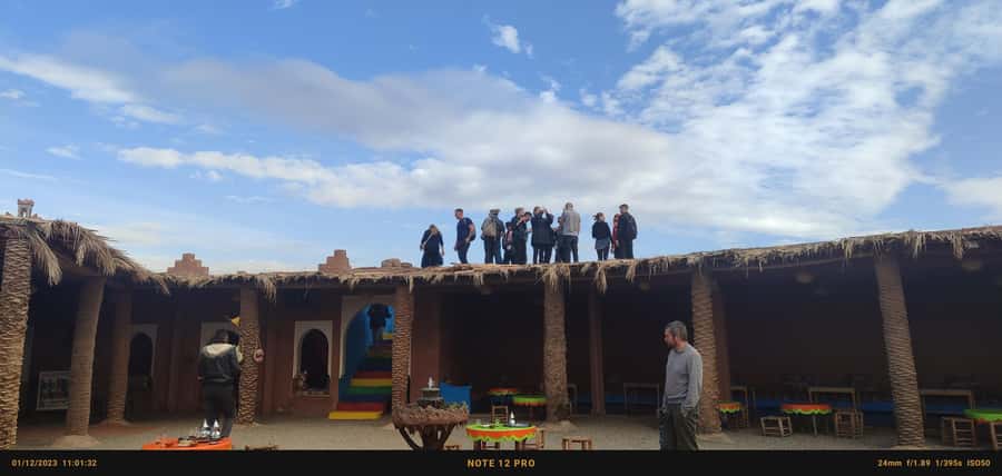 Marrakech: Quad excursion in the palm trees of Marrakech - Who should book this Palmeraie outing?