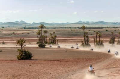 Quad Tour in Jbilets Desert with Palm Grove