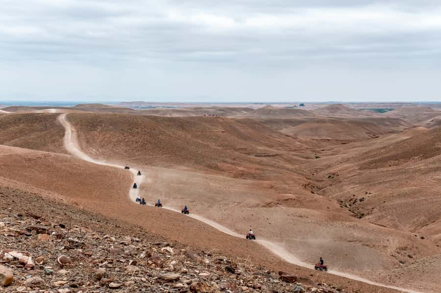 Marrakech: Quad Tour in Jbilets Desert with Palm Grove - Shared quad or private quad?