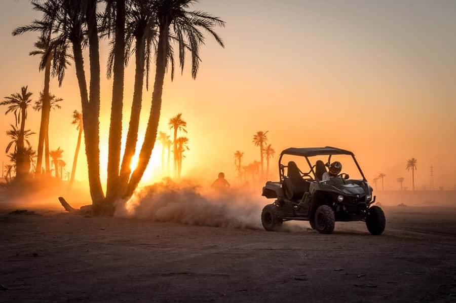 Marrakech : Ride buggy in the desert of the palm grove - Riding through palms and open desert