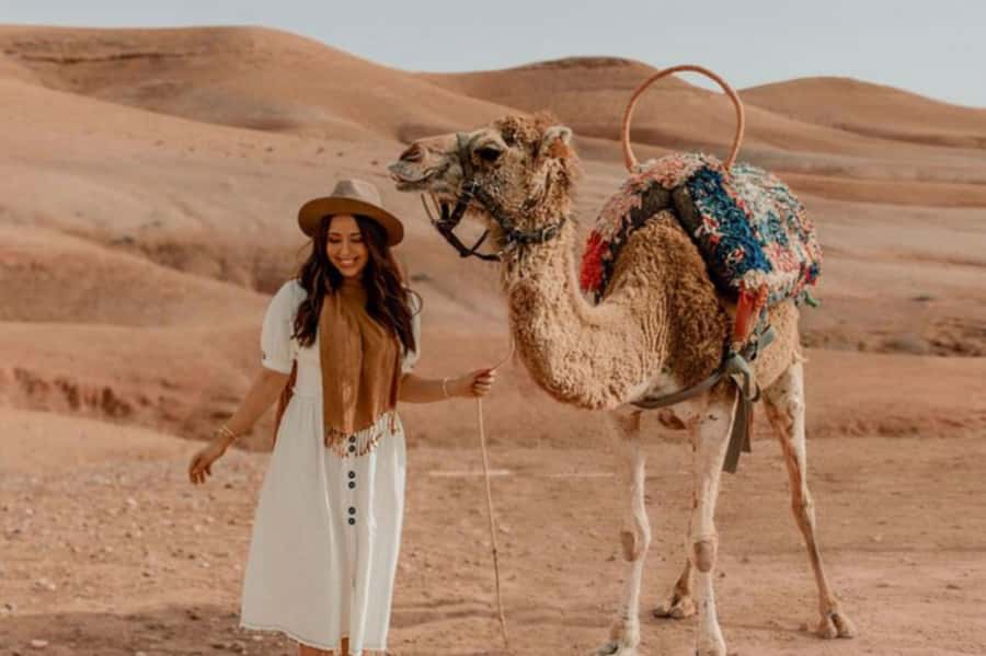 Marrakech: Sunset Dinner in Agafay Desert with Camel Ride - Who should book this Agafay evening?