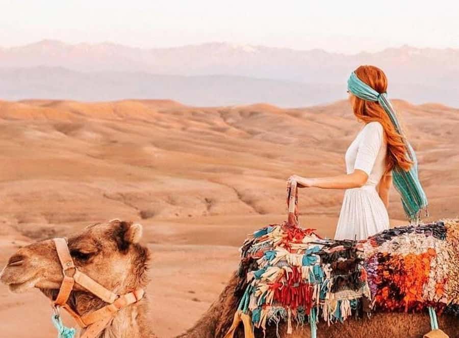 Marrakech: Sunset Dinner in Agafay Desert with Camel Ride - A short camel ride across Agafay
