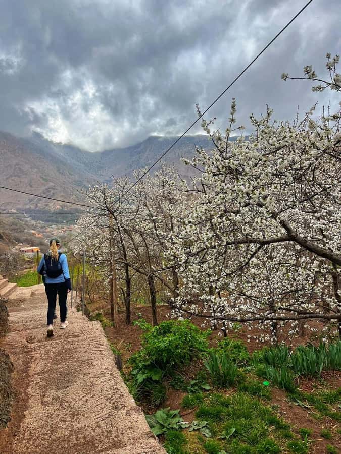 Marrakech: Tedli Summit Atlas Mountains Day Hike & Lunch - The steep climb toward Mount Tedli