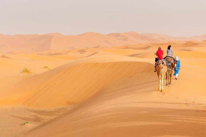 Marrakech to Fez via Merzouga Desert 3-Days Sahara Tour - What this Marrakech to Fez route is really like