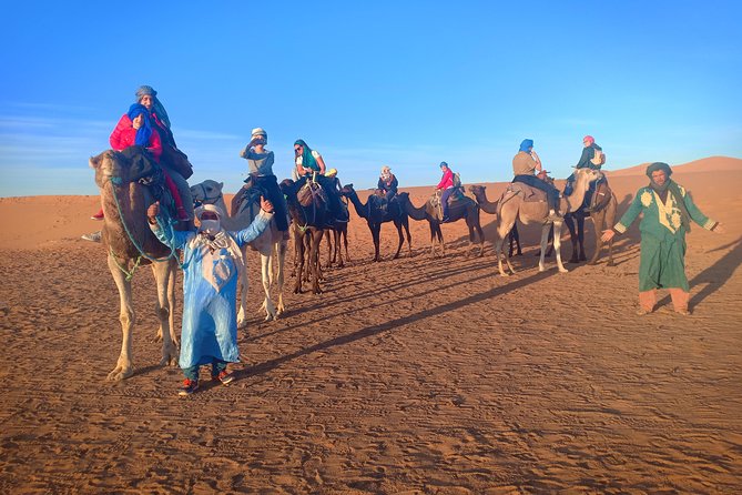 Marrakech to Fez via Merzouga Desert 3-Days Sahara Tour - Day two: Todra Gorge, palms, and the approach to Erg Chebbi