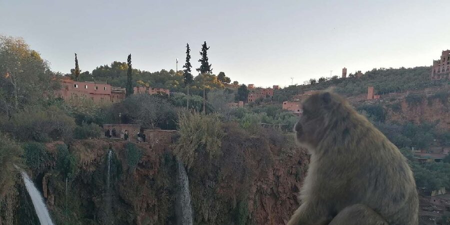 Marrakech to Ouzoud waterfalls day tour - Guide & boat ride - The viewpoints and orange juice stop