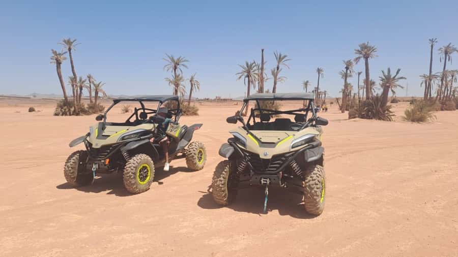 Marrakech: Tour Buggy 1000cc In Palm Oasis and Jbilat Desert - The first ride through rocky Jbilat terrain