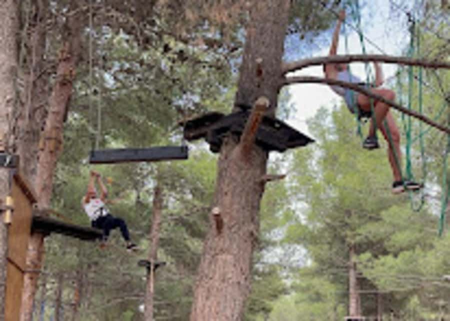 Marrakech: Zip-Line in the Atlas Mountains & Berber villages - Should you book the Atlas Mountain zip line?