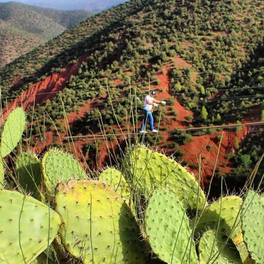 Marrakech: Zipline and Breakfast in the Atlas Mountains - Who should book this Atlas Mountains outing?