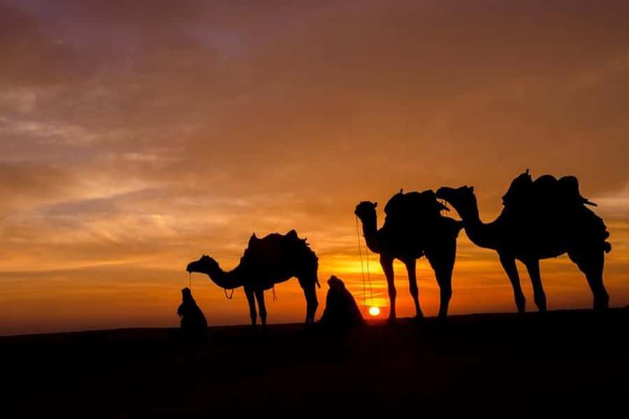 Marrakesh: Agafay Desert Sunset, Camel Ride, and Dinner Show - Who should book this Agafay evening