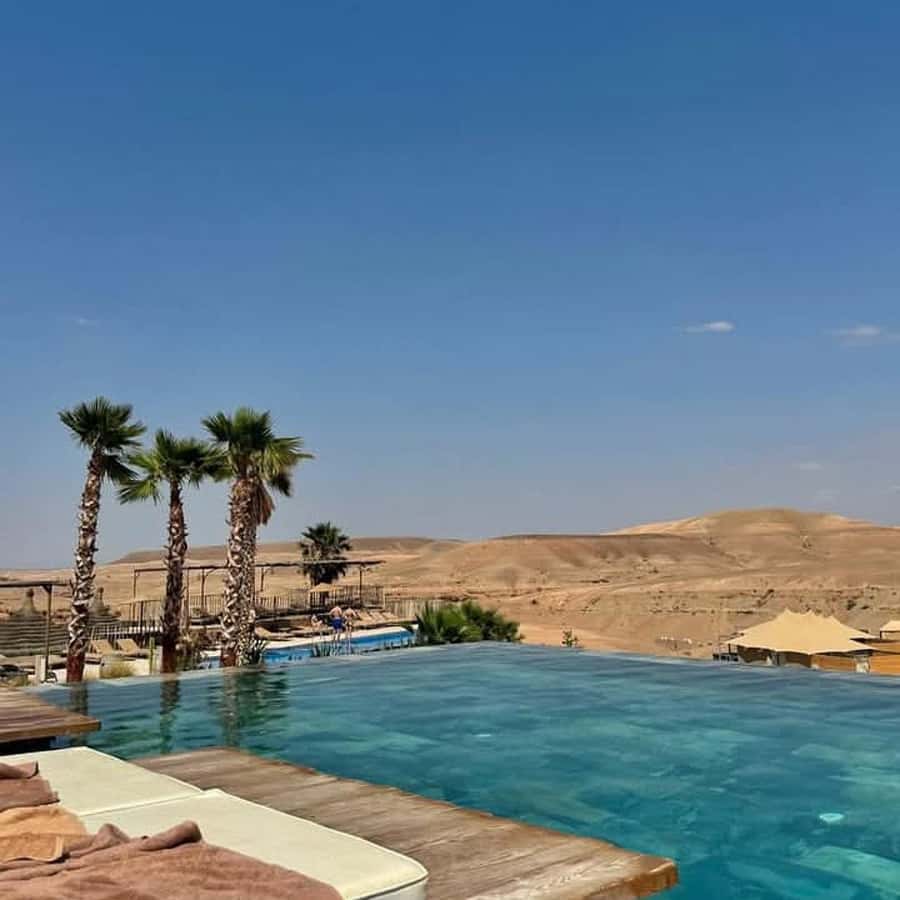 Marrakesh: Agafay Desert Tour with Lunch and Swimming Pool - From Marrakesh to the argan cooperative