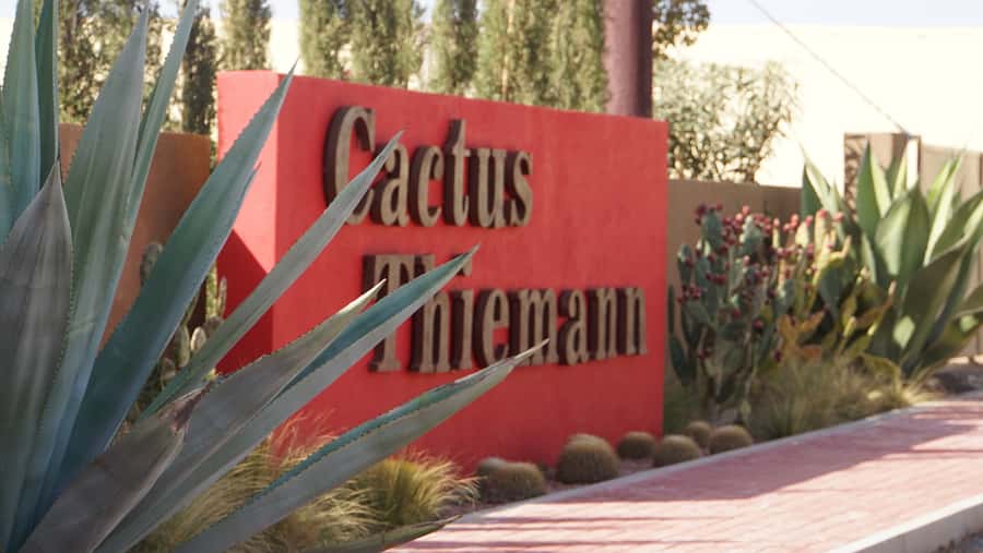 Marrakesh: Cactus Thiemann Entry Ticket - A café and play area make it easier for families