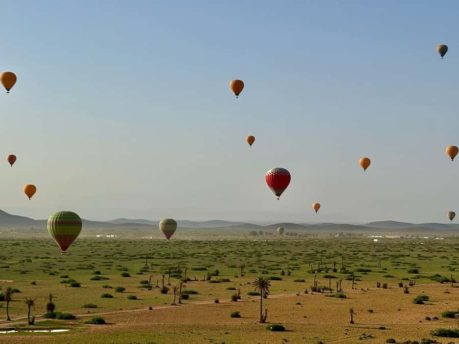 Marrakesh: Early Morning 40-Minute Balloon Flight - A pre-dawn start from Marrakech