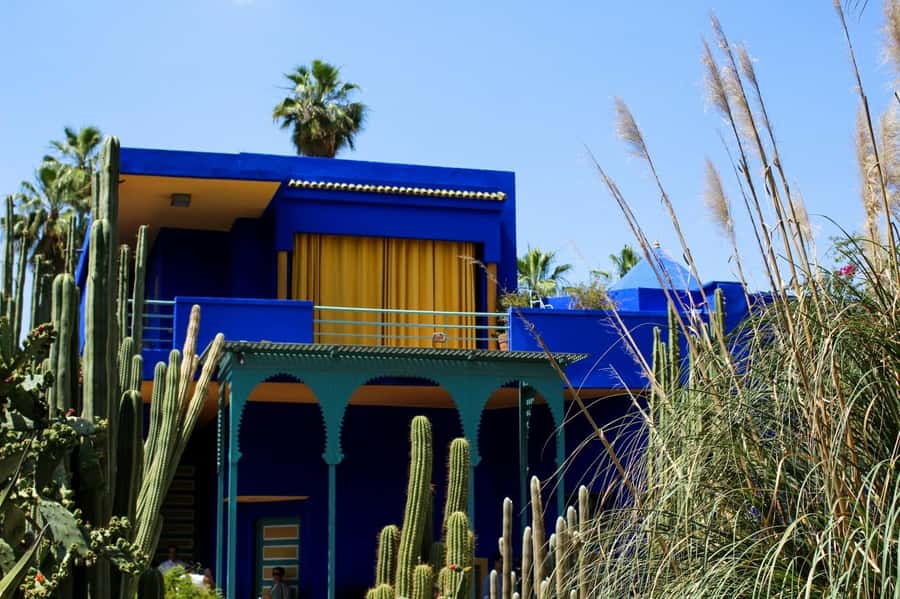 Marrakesh: Majorelle Garden Entry Tickets - The blue villa and the first turn through the garden