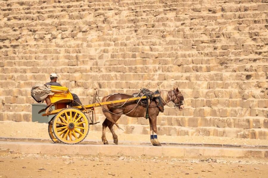 Marsa Alam: Ancient Cairo & Giza Pyramids Day Trip by Plane - Lunch at a Cairo restaurant