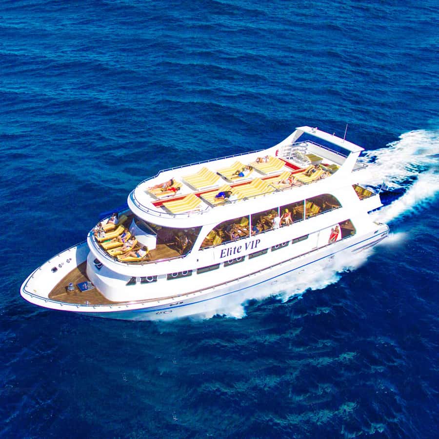 Marsa Alam: Elite vip Turtle bay snorkeling with BBQ Lunch - Marsa Mubarak and the search for turtles