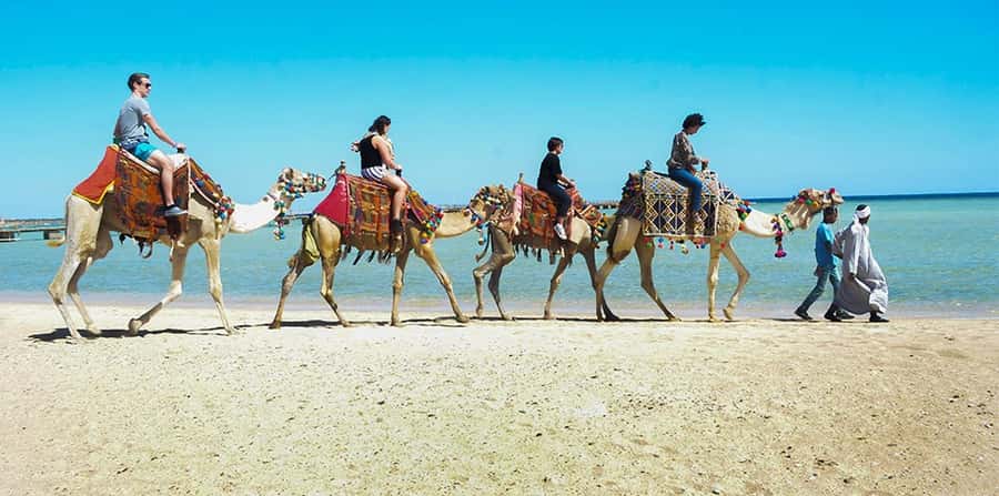 Marsa Alam: Sea and Desert Camel Riding Tour - Arriving at the Marsa Alam desert base
