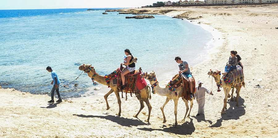 Marsa Alam: Sea and Desert Camel Riding Tour - Crossing the desert paths