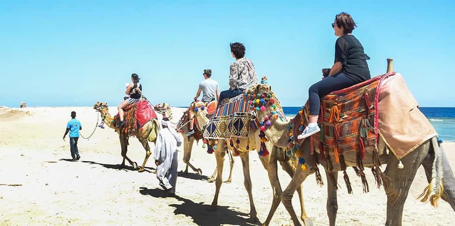 Marsa Alam: Sea and Desert Camel Riding Tour - Reaching the Red Sea shore