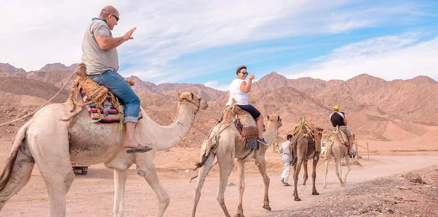 Marsa Alam: Sea and Desert Camel Riding Tour - Choosing sunrise, morning, afternoon, or sunset