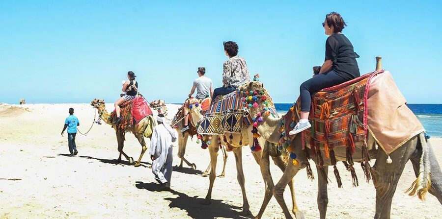 Marsa Alam: Sea and Desert Camel Riding Tour - Who should book this Marsa Alam ride